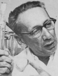 Zvi Avidov