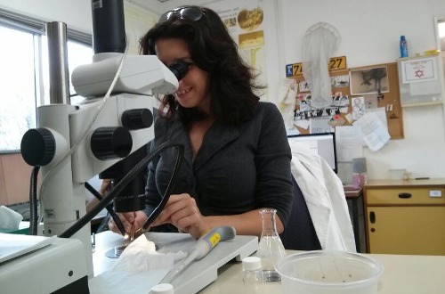 sharoni-shafir-microscope.jpg