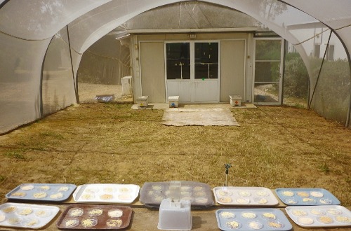 sharoni-shafir-observation-room.jpg