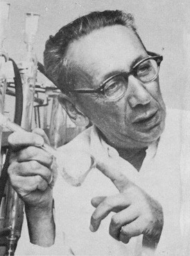 Zvi Avidov