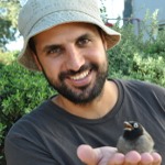 shlomi.jpg