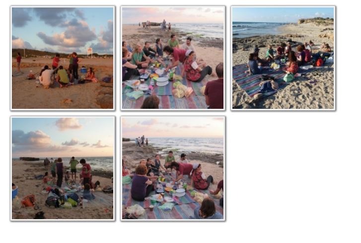 picnics