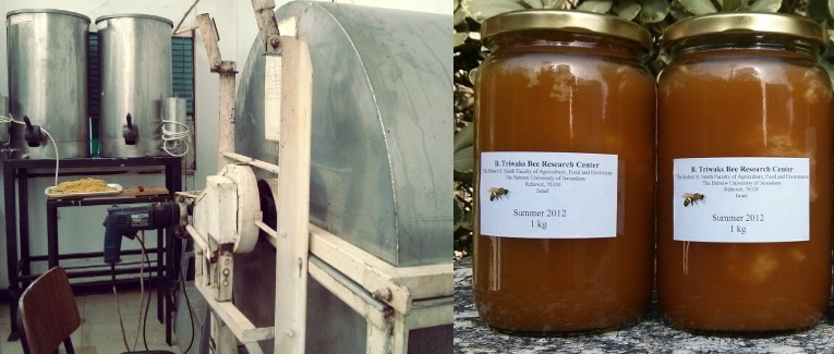 sharoni-shafir-honey-extraction.jpg