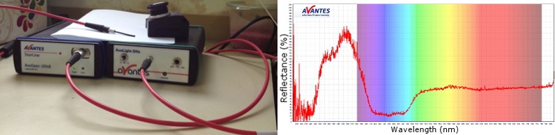 sharoni-shafir-spectrophotometer.jpg