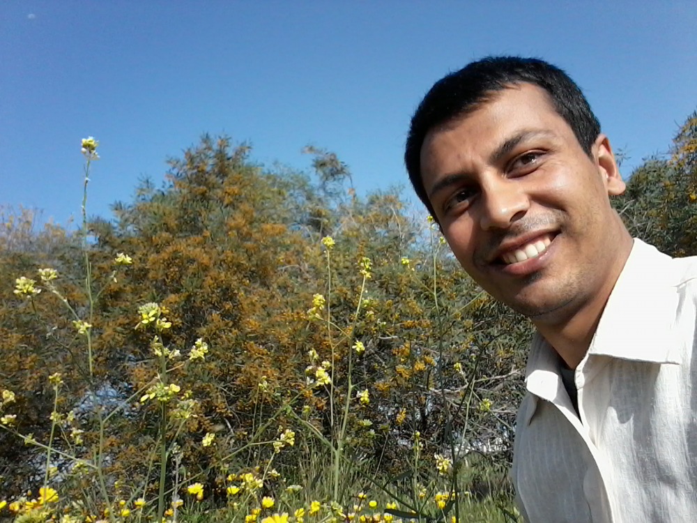 Anil Pokherl
