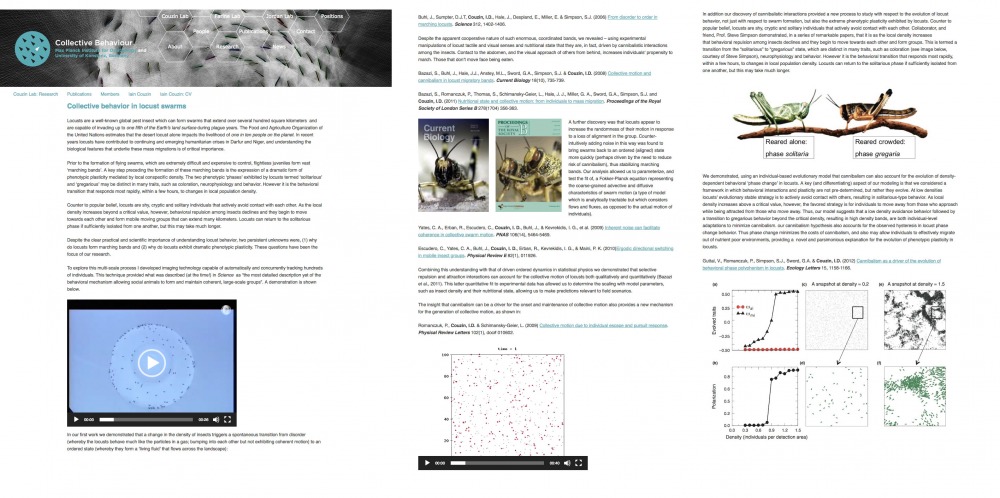 collectivebehaviour-locust-swarms