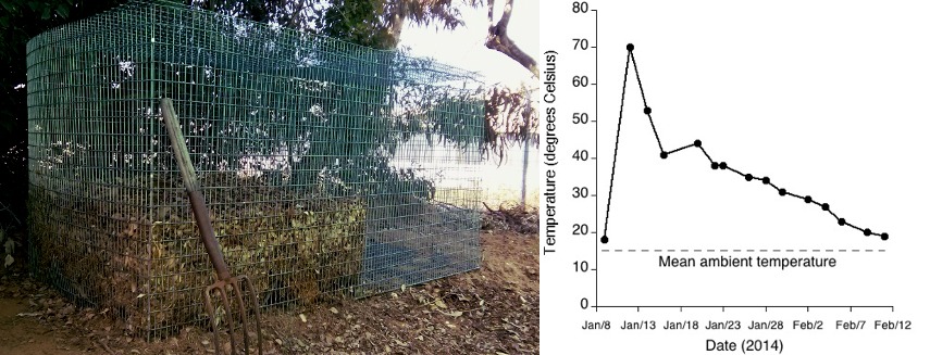 sharoni-shafir-composter-combo.jpg