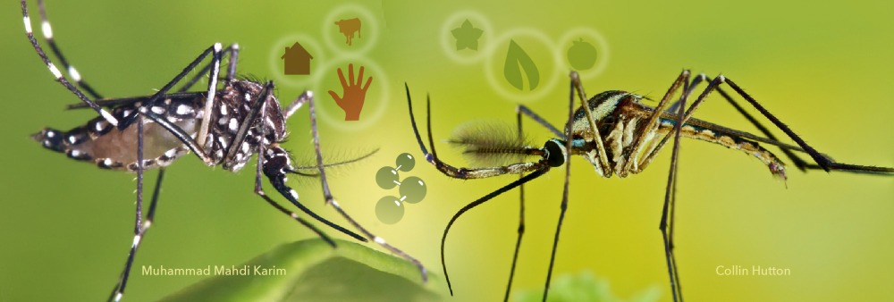 Toxo-vs-Aedes-v4.jpg