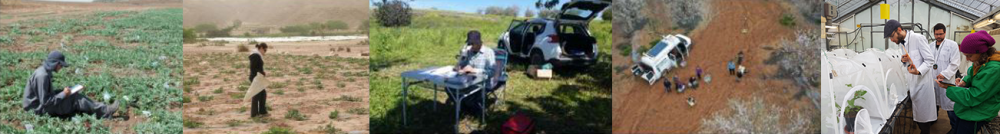 banner research in the field