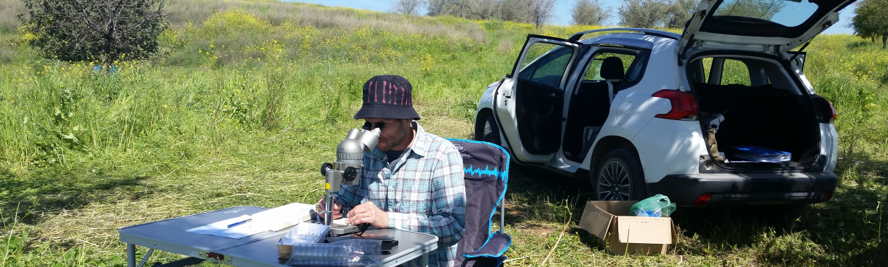 Achik conducting in-situ bee identification