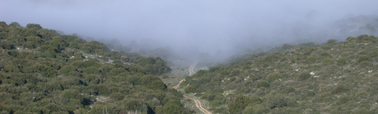 A Mediterranean study site, central Israel