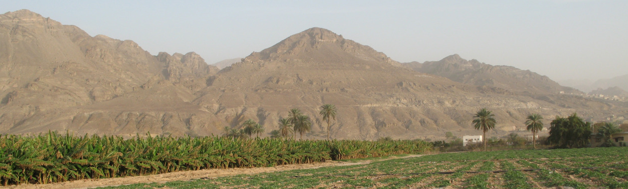 An arid study site, Jordan