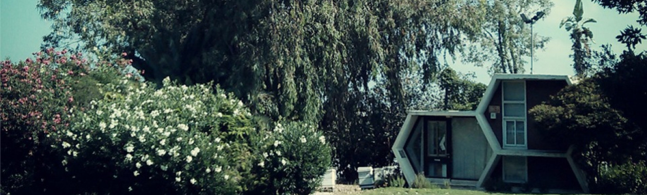 Prof Sharoni Shafir office at the Bee Research Center