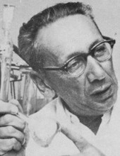Zvi Avidov