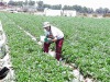 2002inbar-in-field