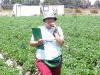 2002inbar-strawberry