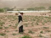 chilla_in_jordan_netting.jpg