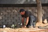 garden-planting-03.jpg