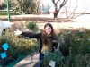garden-planting-05.jpg