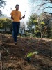 garden-planting-06.jpg