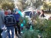 garden-planting-07.jpg