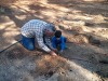 garden-planting-08.jpg