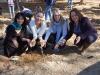 garden-planting-09.jpg